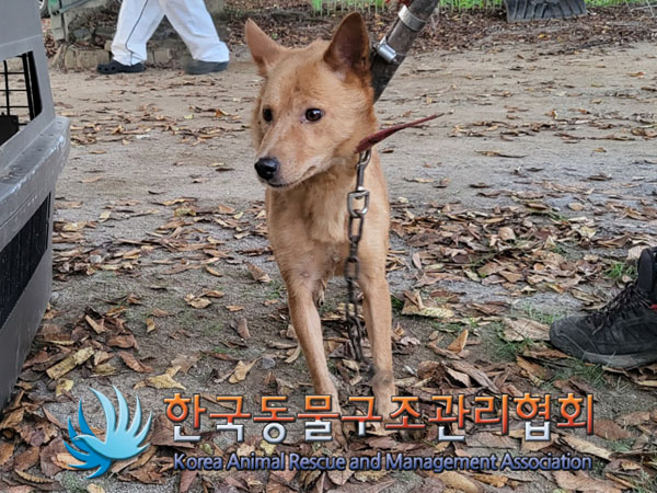 한국동물구조관리협회_441560202301201