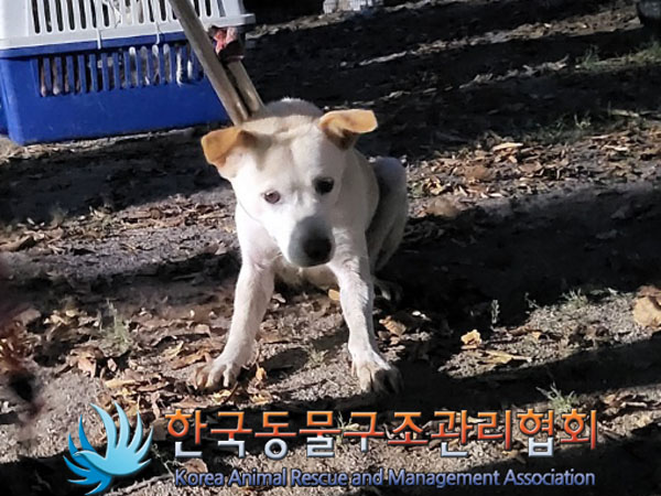 한국동물구조관리협회_441560202301231