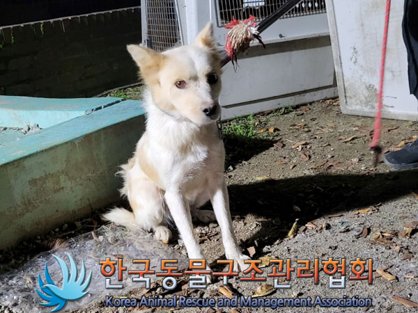한국동물구조관리협회_441560202301242
