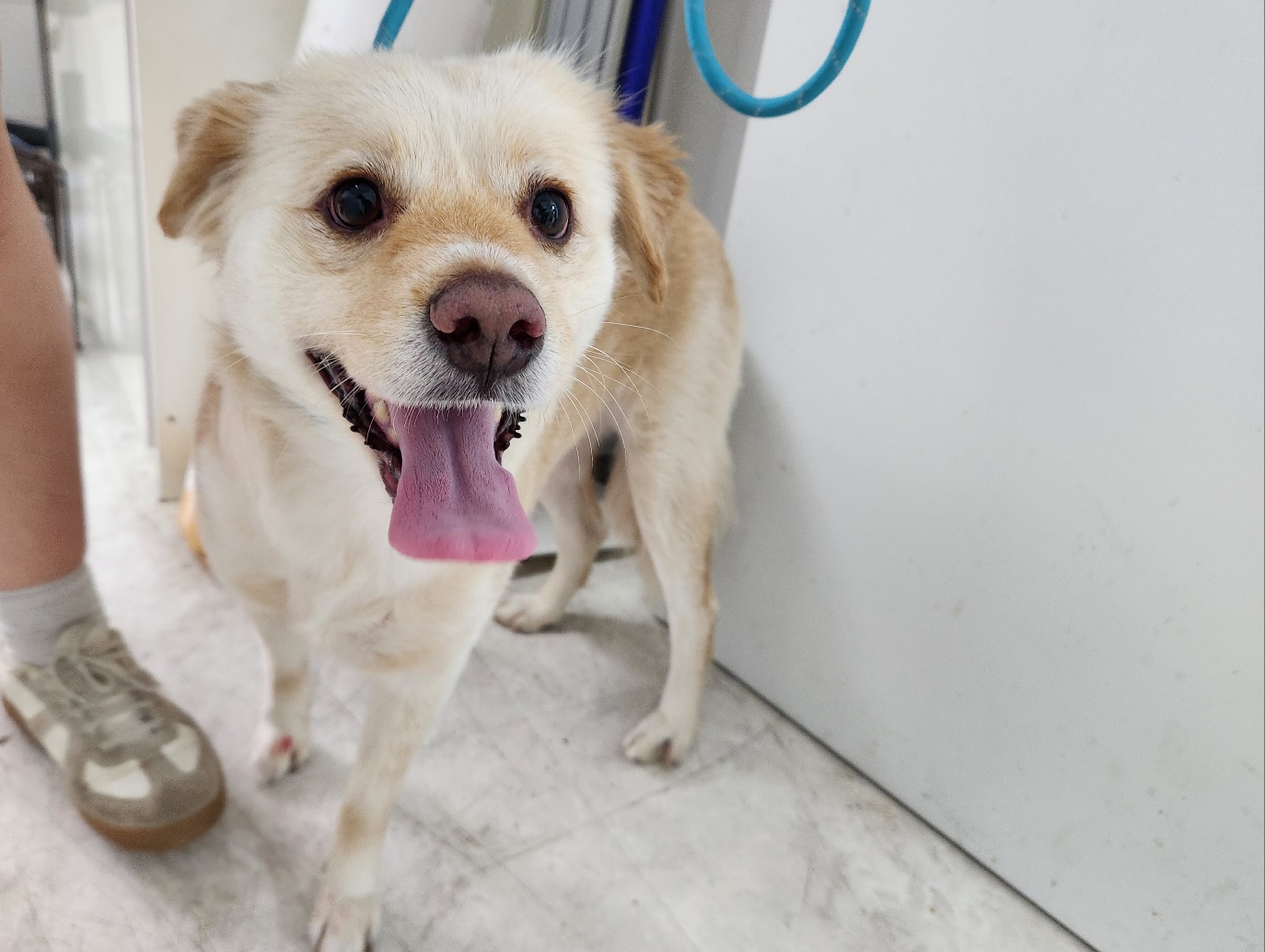 광주TNR동물병원송정_441554202301562