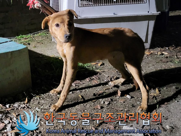 한국동물구조관리협회_441560202301262