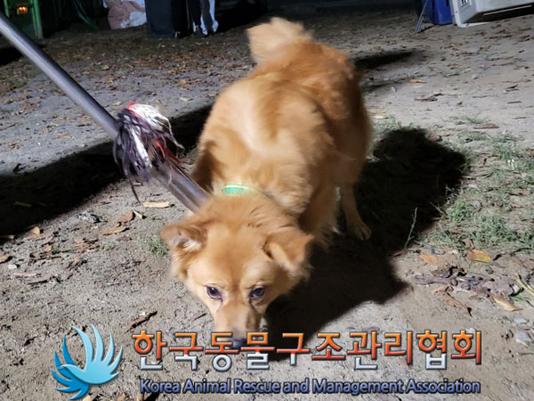 한국동물구조관리협회_441560202301253