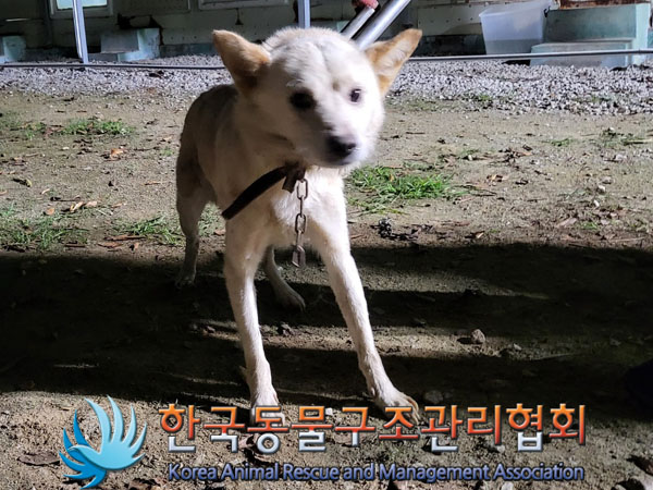 한국동물구조관리협회_441560202301268