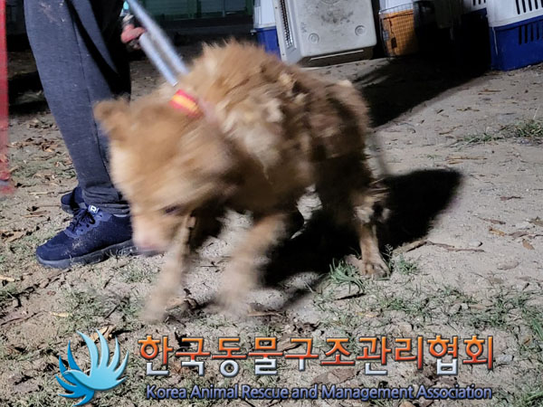 한국동물구조관리협회_441560202301273
