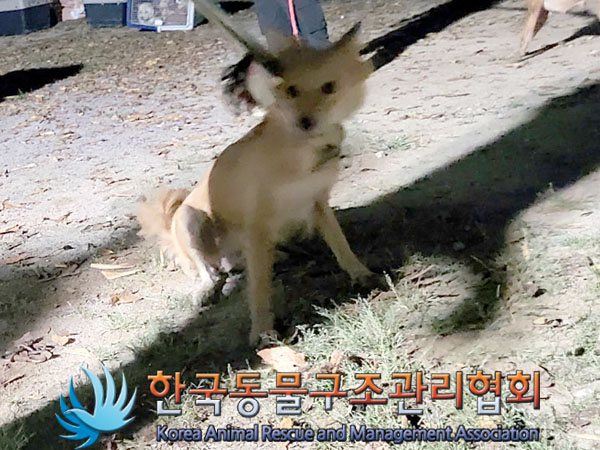 한국동물구조관리협회_441560202301237