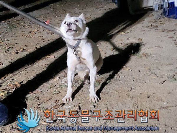 한국동물구조관리협회_441560202301264