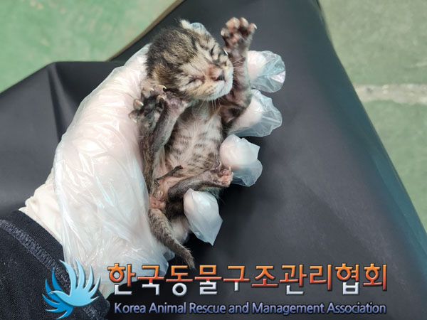 종료(자연사) 한국…