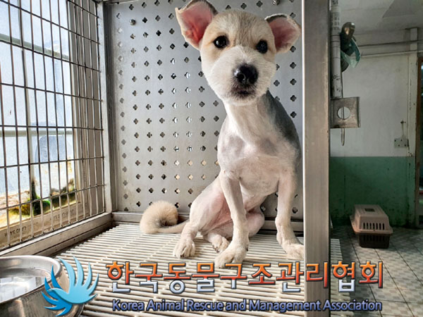 한국동물구조관리협회_441409202301470