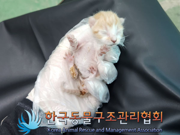 종료(자연사) 한국…
