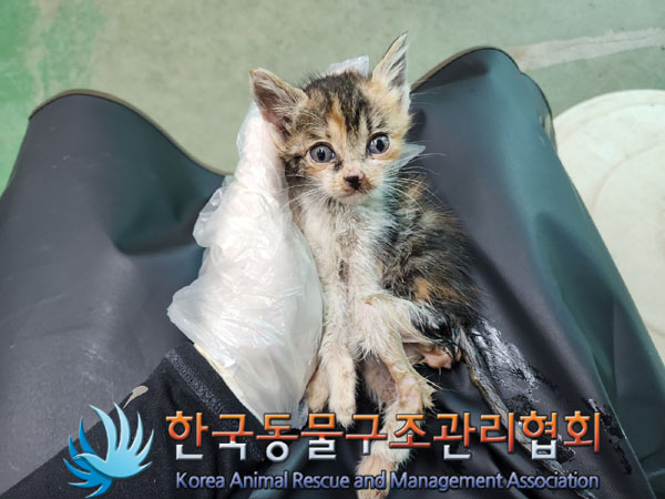 종료(자연사) 한국…