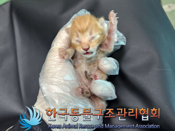 한국동물구조관리협회_441559202300948