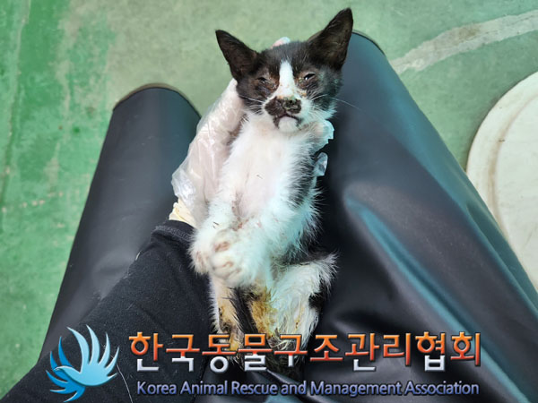 종료(자연사) 한국…
