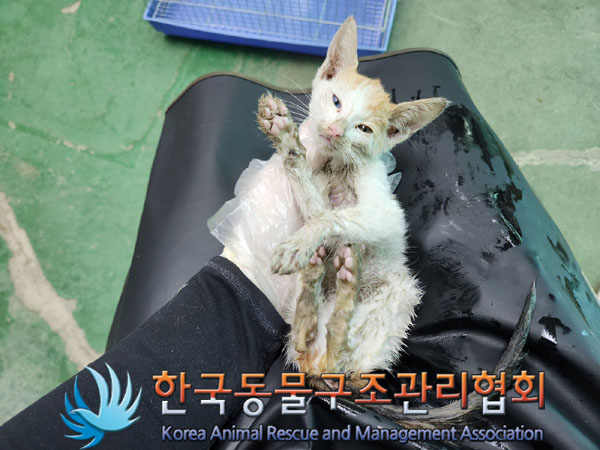 한국동물구조관리협회_411315202300587