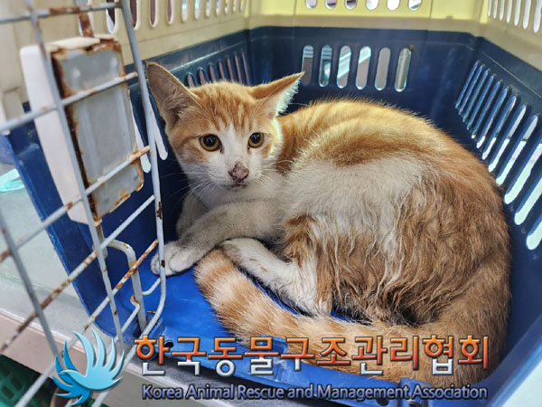 한국동물구조관리협회_411307202300360