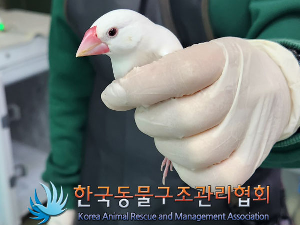 한국동물구조관리협회_411301202300452