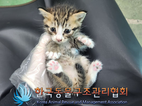 종료(자연사) 한국…
