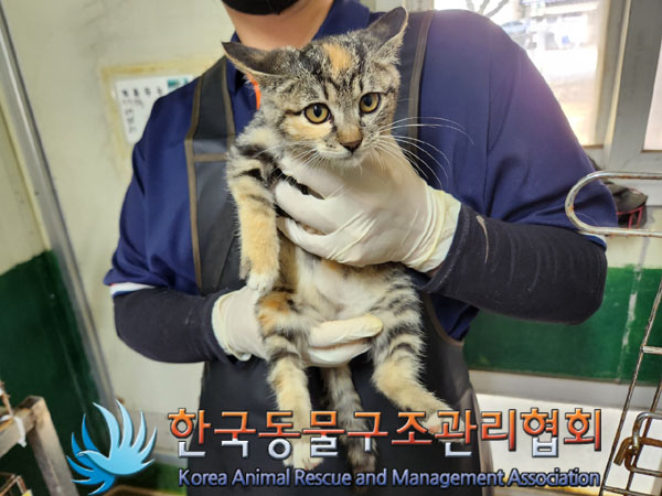 종료(자연사) 한국…