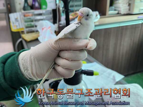 종료(자연사) 앵무…