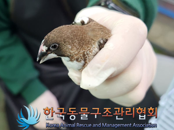종료(자연사) 십자…