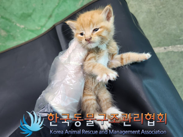 종료(자연사) 한국…