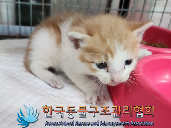 종료(자연사) 한국…