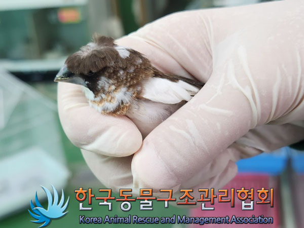 종료(자연사) 십자…