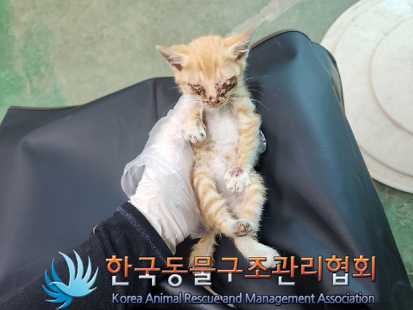 종료(자연사) 한국…