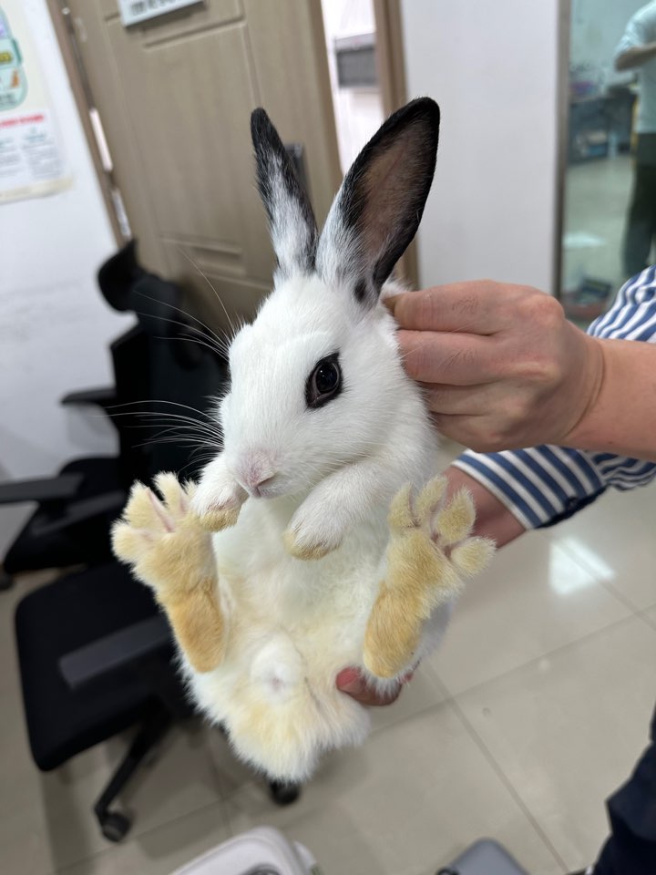 반려동물보호센터_443571202302307