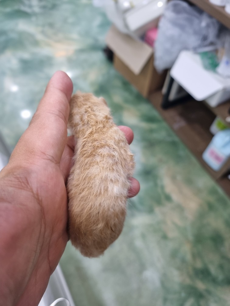 우성동물병원_427514202300338