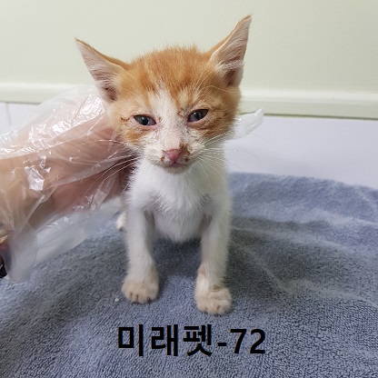 종료(자연사) 한국…