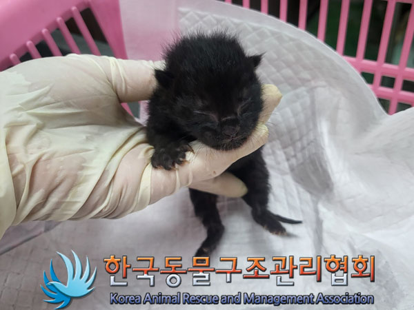 종료(자연사) 한국…
