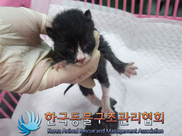 종료(자연사) 한국…