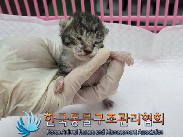 한국동물구조관리협회_411307202300378