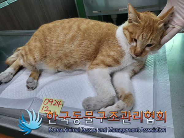 한국동물구조관리협회_411311202300686