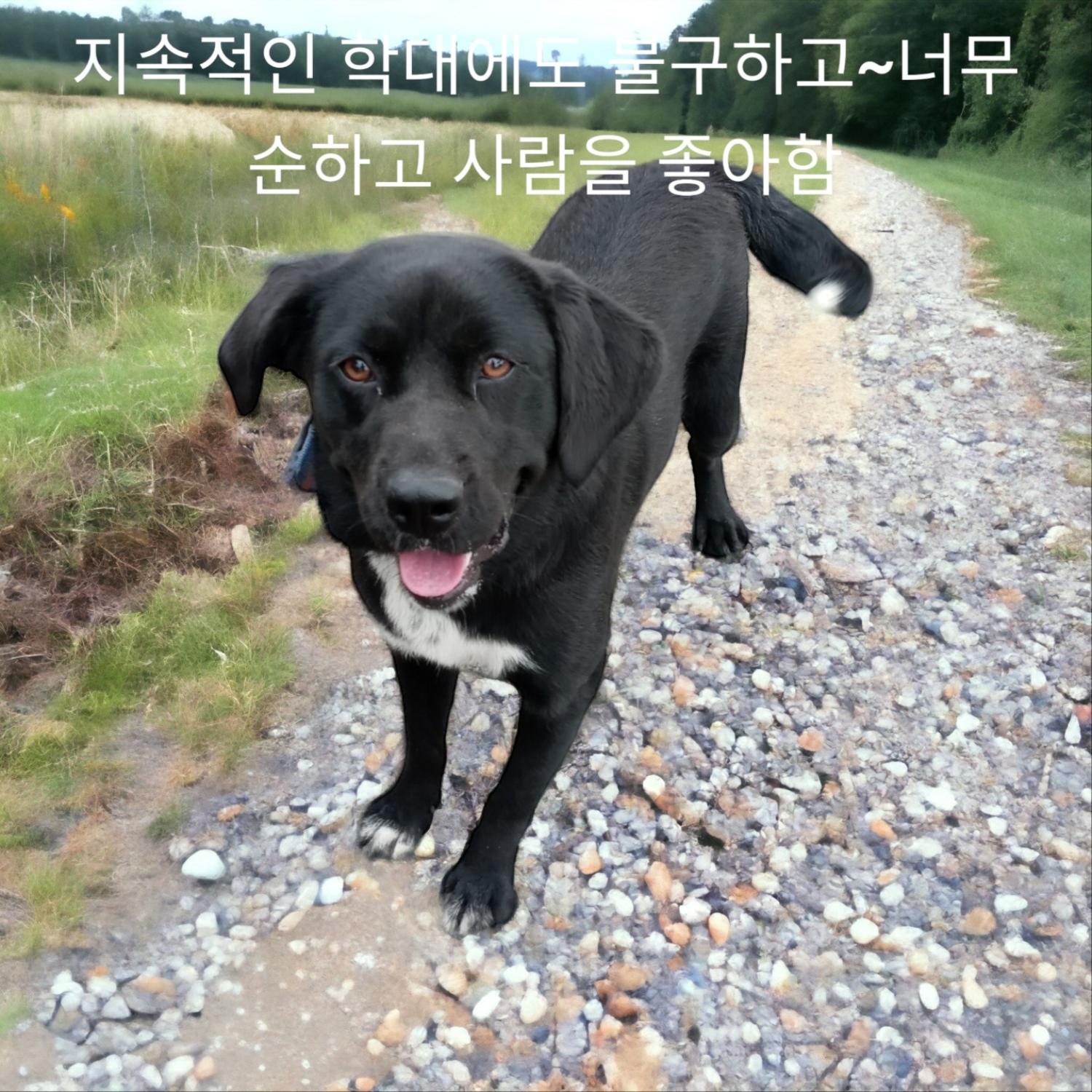 성주유기동물보호센터_447521202300321