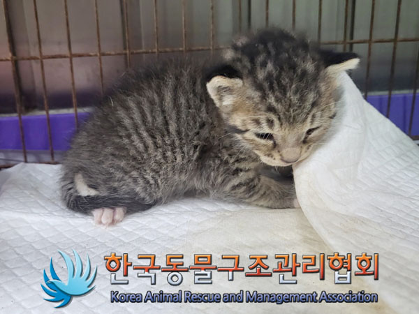 종료(자연사) 한국…