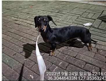 종료(반환) 닥스훈…
