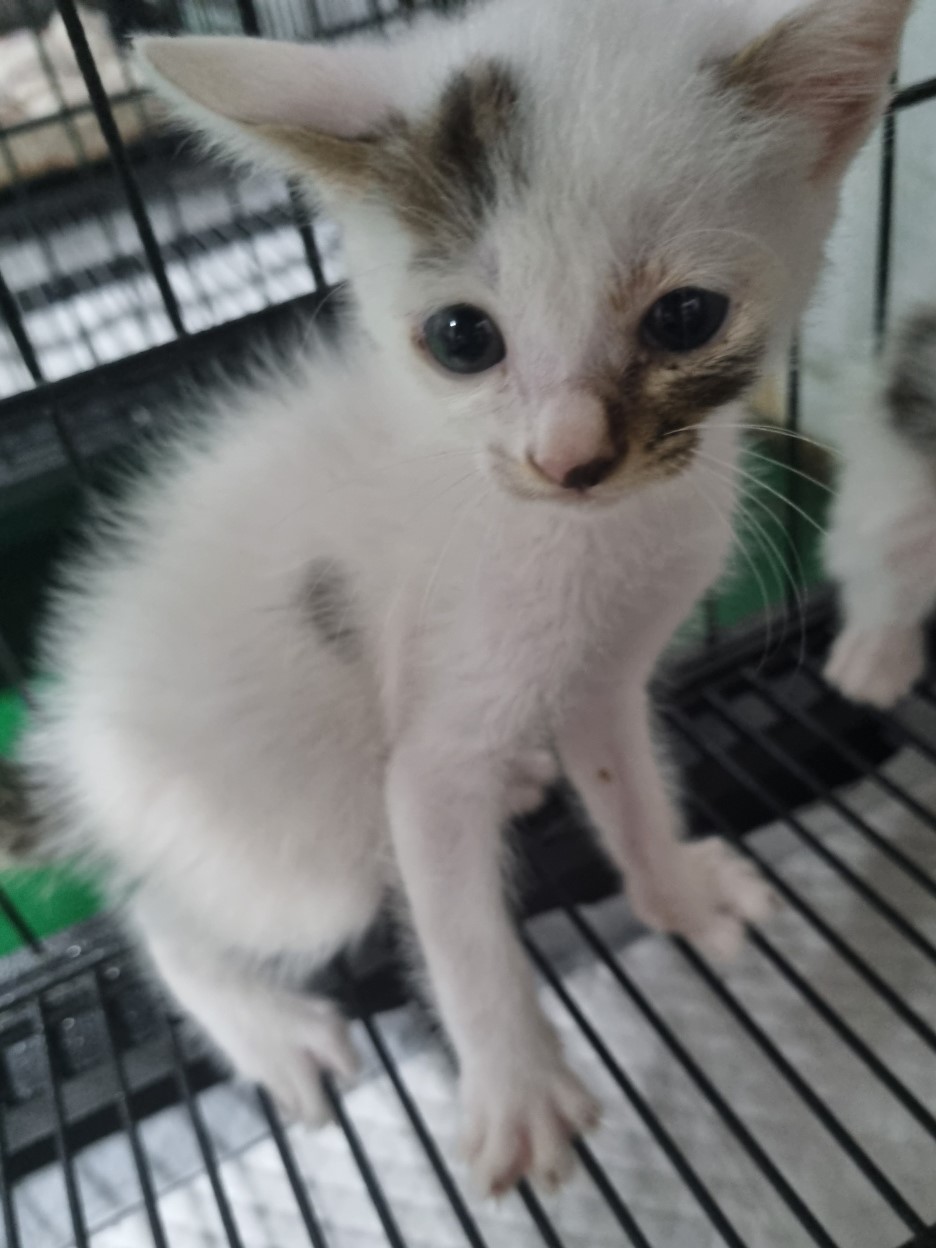 밀양시동물보호센터_448536202302011