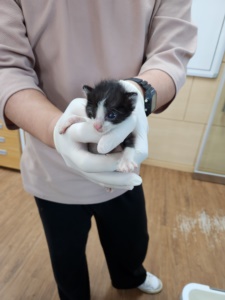 제주 동물보호센터_450650202303354