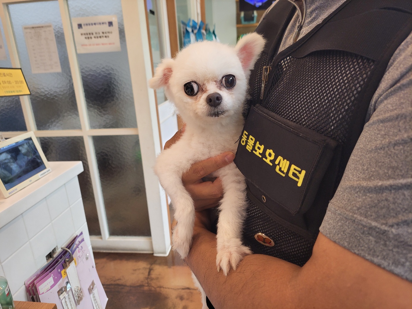 고양시동물보호센터_441394202301993
