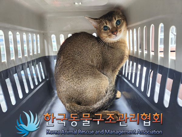 종료(반환) 아비시…