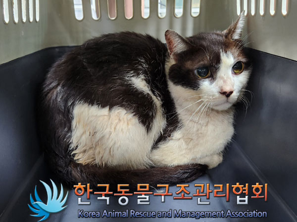 한국동물구조관리협회_411318202300400