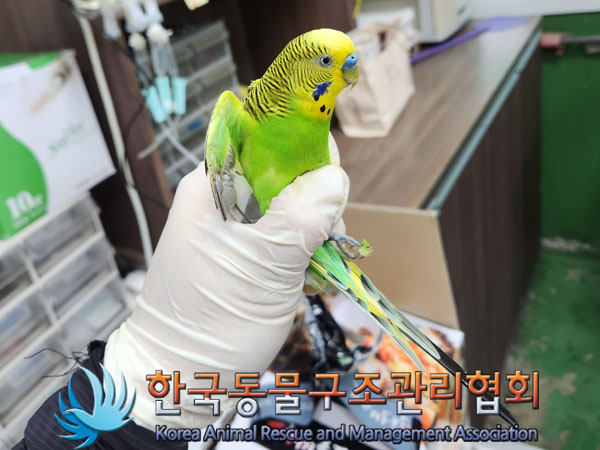 한국동물구조관리협회_411305202300466