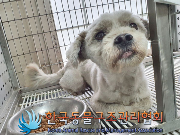 종료(안락사) 믹스…