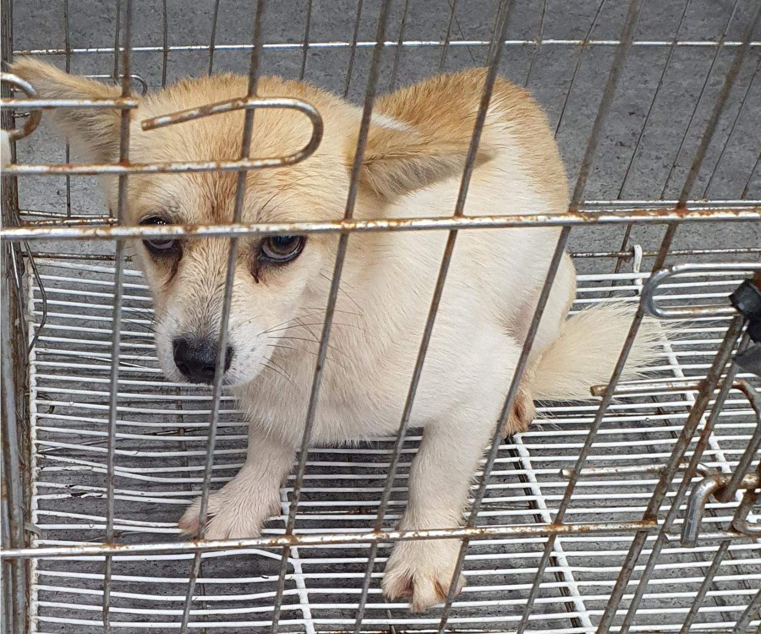 베스트동물병원_428357202301169