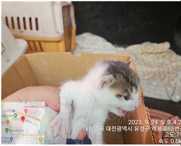 대전동물보호센터_430367202300568