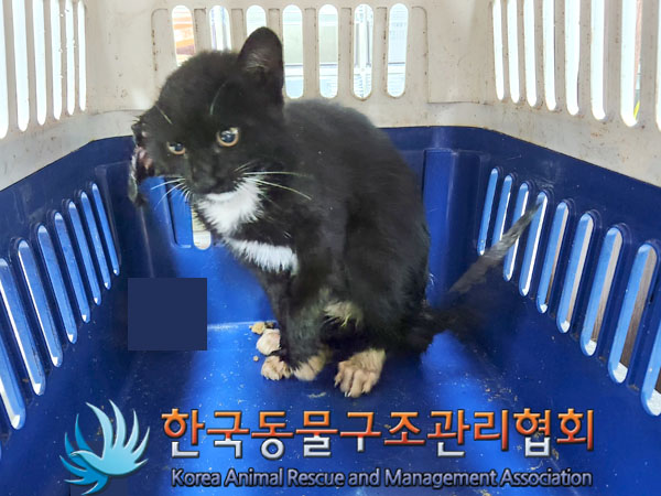종료(자연사) 한국…