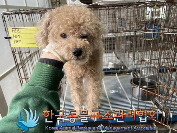 한국동물구조관리협회_411303202300511