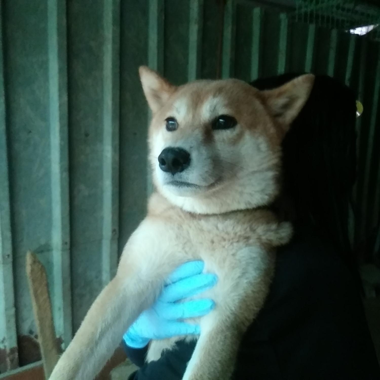 인천광역시수의사회_428352202300377