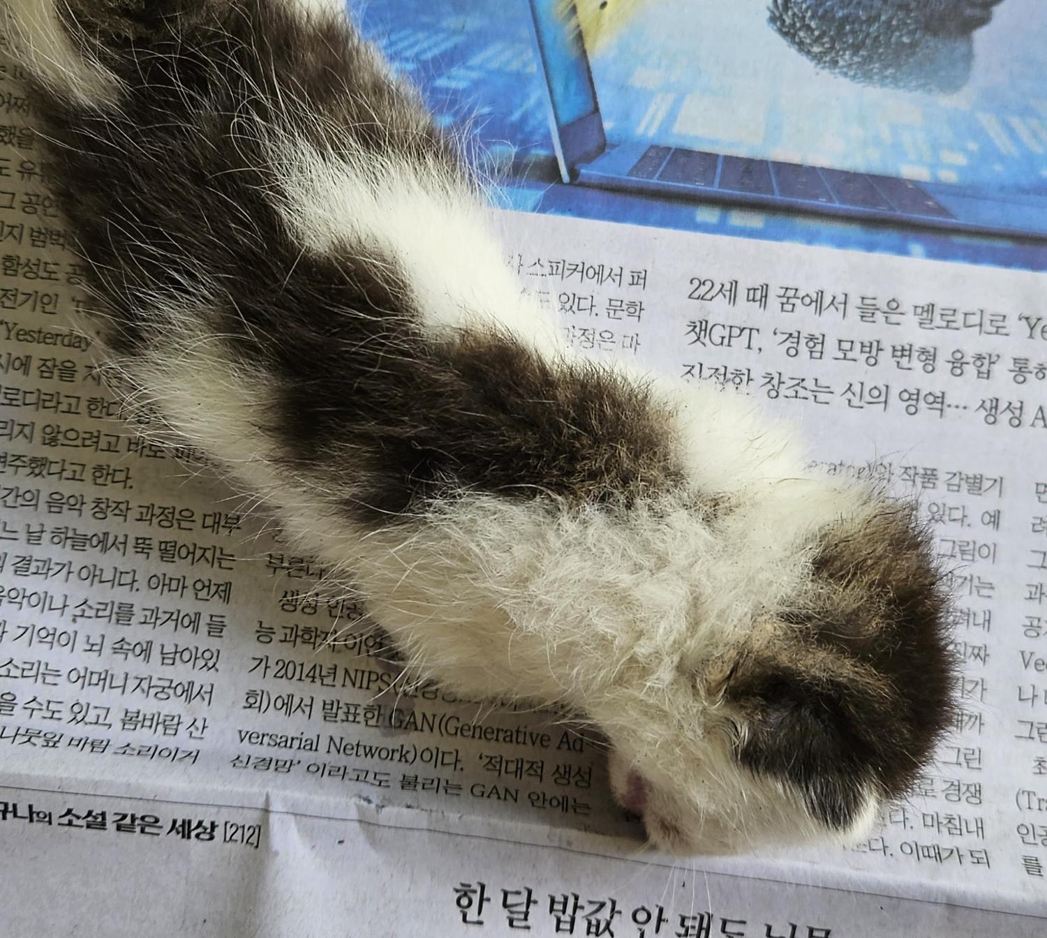 종료(자연사) 한국…